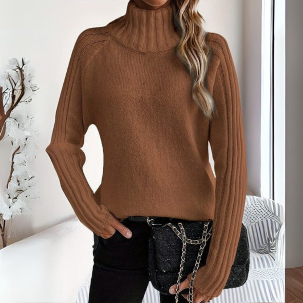 Women's Relaxed Knit Turtleneck Pullover in Brown