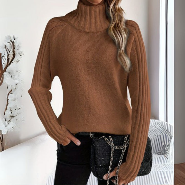 Women's Relaxed Knit Turtleneck Pullover in Brown
